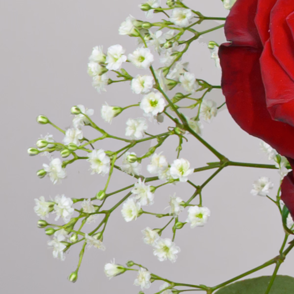 Premiumstrauß Märchenhaft mit Premiumvase & Ferrero Giotto 3er