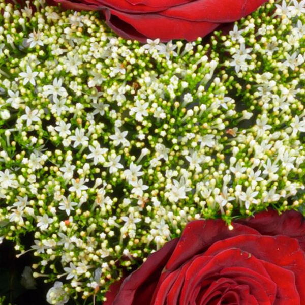 Premiumstrauß Märchenhaft mit Premiumvase & Ferrero Giotto 3er