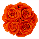 4 orange haltbare Rosen in Hutschachtel