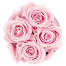 4 rosa haltbare Rosen in Hutschachtel