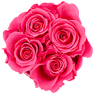 4 pink haltbare Rosen in Hutschachtel