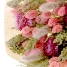 Dried Bouquet Fairy Tale