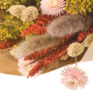 Dried Bouquet Sweet Blossom