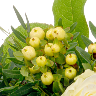 Sympathy Bouquet in White