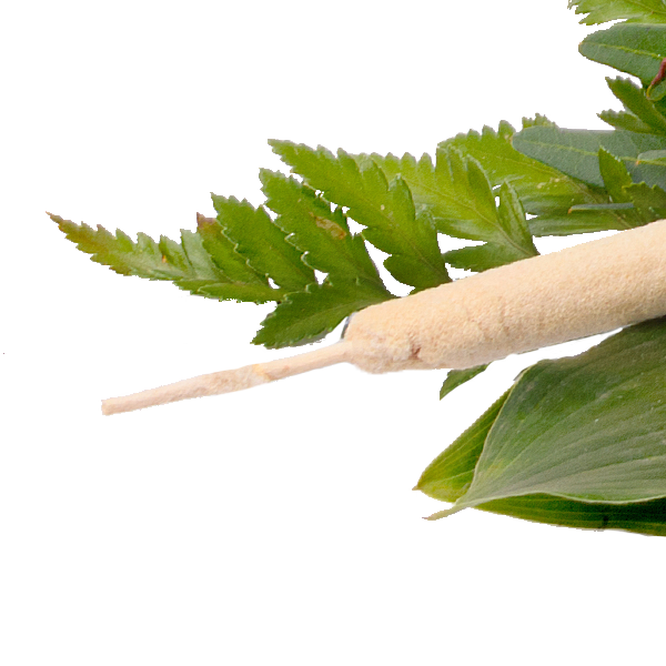 Liegestrauß in Weiß