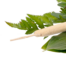 Liegestrauß in Weiß