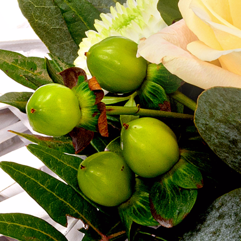 Sympathy Heart Ein stiller Gruß