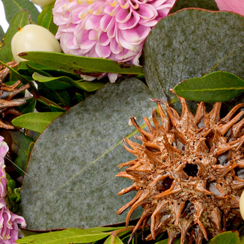 Sympathy Heart Dankbarkeit und Liebe