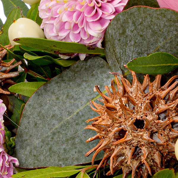 Sympathy Heart Dankbarkeit und Liebe