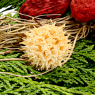Sympathy Wreath "Erinnerung"