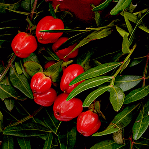 Sympathy Wreath Erinnerung