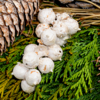 Sympathy Wreath Nie vergessen