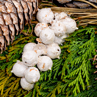 Sympathy Wreath Nie vergessen