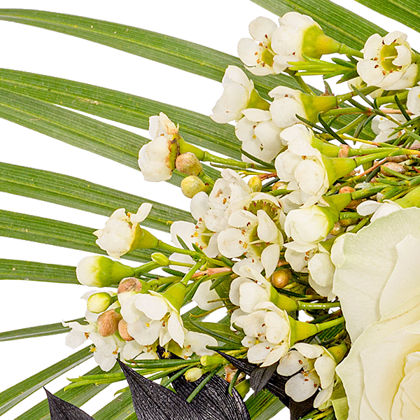 Liegestrauß in Weiß und Schwarz