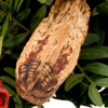 Liegestrauß Ruhe sanft