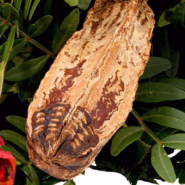 Sympathy Bouquet Ruhe sanft