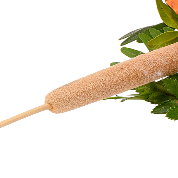 Liegestrauß Ruhe sanft