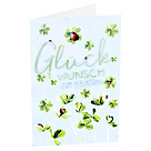 cardGreeting card  "Glückwunsch zum Geburtstag" with ladybug application