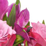 Blumenstrauß Frühlingsblüte mit Vase & Ferrero Giotto 3er