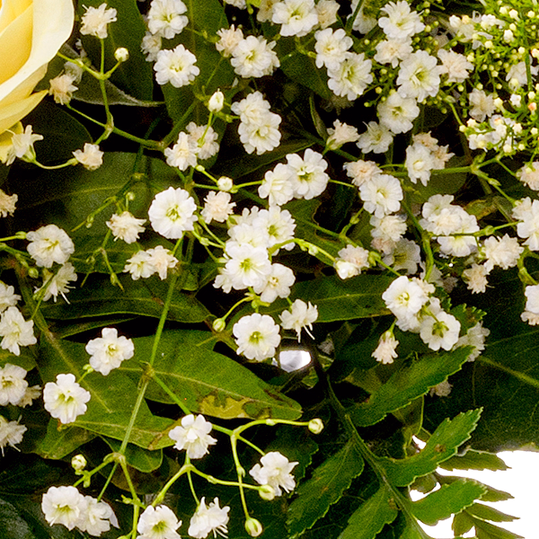 Blumenstrauß Blumenfreude mit Vase & Ferrero Giotto