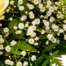 Flower Bouquet Blumenfreude with vase & 3 Ferrero Giotto