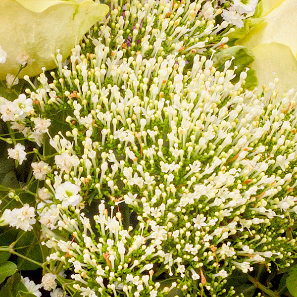 Blumenstrauß Blumenfreude mit Vase & Ferrero Giotto