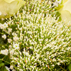 Blumenstrauß Blumenfreude