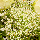 Flower Bouquet Blumenfreude with vase & Ferrero Raffaello