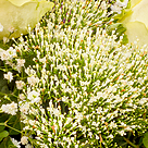 Flower Bouquet Blumenfreude mit vase & Ferrero Raffaello
