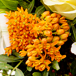 Blumenstrauß Kleine Freude mit Vase & 2 Ferrero Rocher