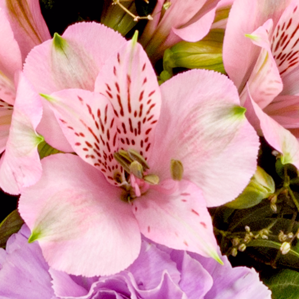 Premiumstrauß Blütenstar mit Premiumvase & Ferrero Giotto 3er