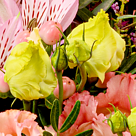 Premium Bouquet Poesie with premium vase & Ferrero Raffaello