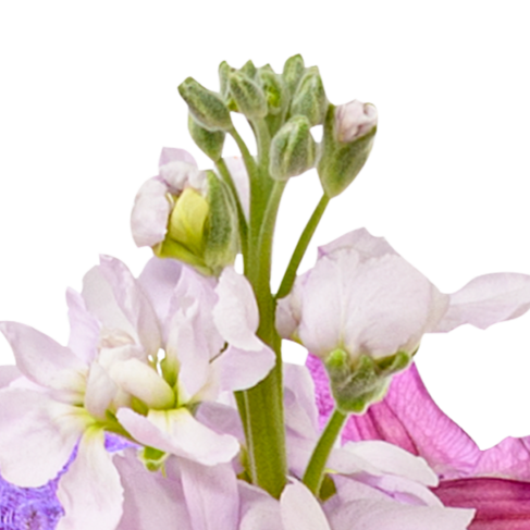 Premiumstrauß Blütensensation mit Premiumvase & Ferrero Giotto 3er