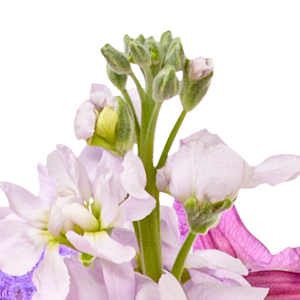 Premium Bouquet Blütensensation with Premium Vase & 3 Ferrero Giotto