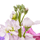 Premium Bouquet Blütensensation with premium vase & Ferrero Raffaello