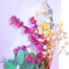 Motivkarte mit Trockenblumen "Alles Gute"