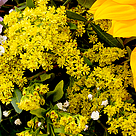 Blumenstrauß Freude mit Vase & Ferrero Raffaello & GLÜCK-Marmelade