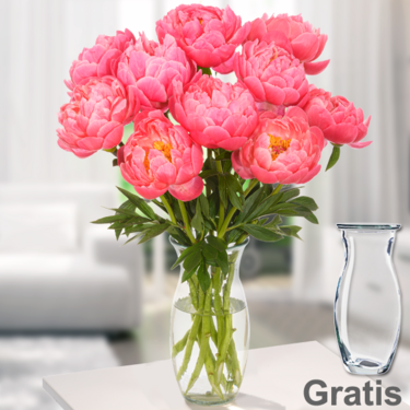 frisch gebunden Prächtige Pfingstrosen im Bund mit Vase