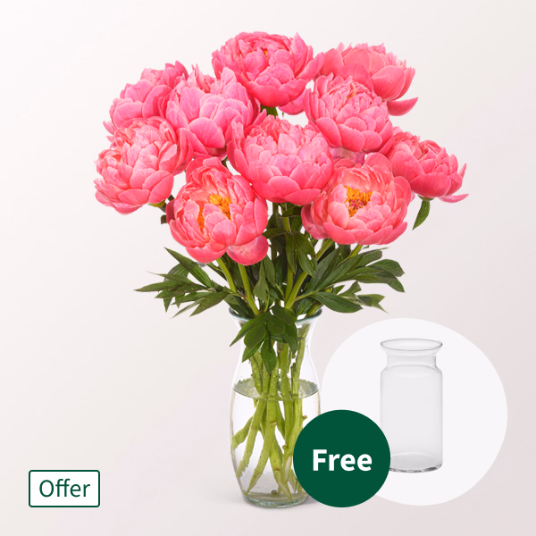 Wonderful Peonies in a Bunch with vase