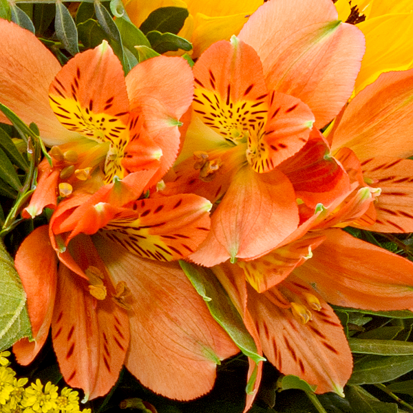 Blumenstrauß Blumenwunder mit Vase