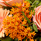 Blumenstrauß Blumensymphonie mit Vase & Ferrero Raffaello