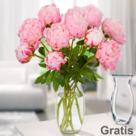 Rosa Pfingstrosen im Bund mit Vase