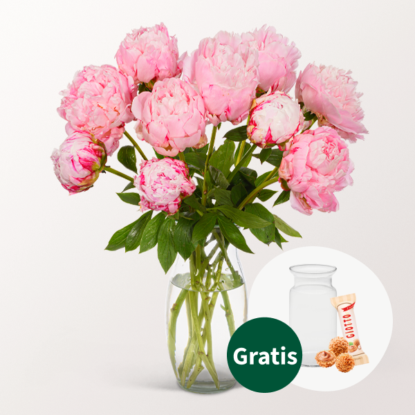 Rosa Pfingstrosen im Bund mit Vase & Ferrero Giotto 3er
