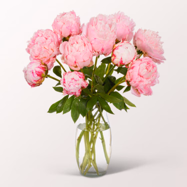 Rosa Pfingstrosen im Bund mit Vase & Ferrero Giotto 3er