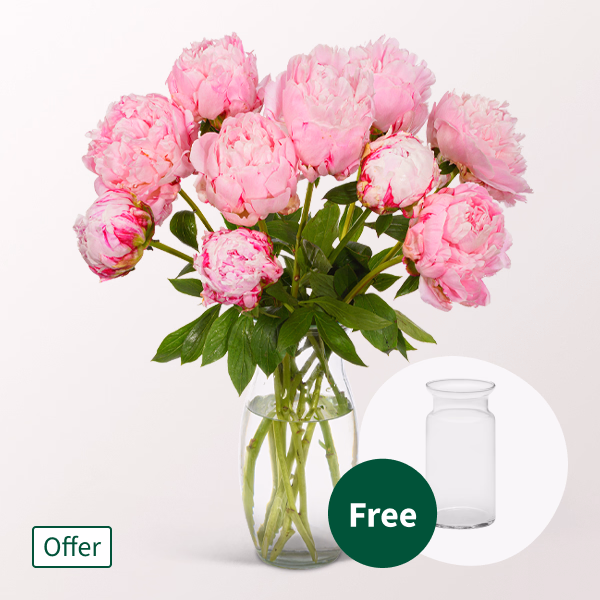 Wonderful Light Pink Peonies in a Bunch with vase