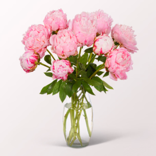 Wonderful Light Pink Peonies in a Bunch