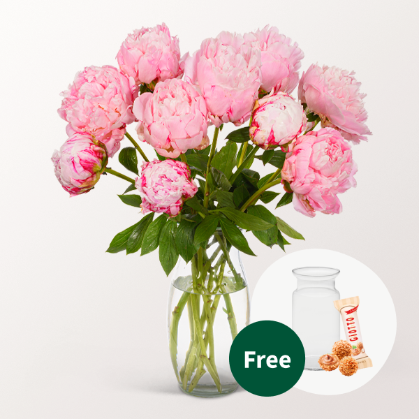 Wonderful Light Pink Peonies in a Bunch with vase & 3 Ferrero Giotto