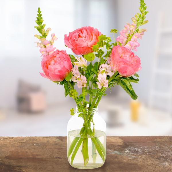 Peony Love