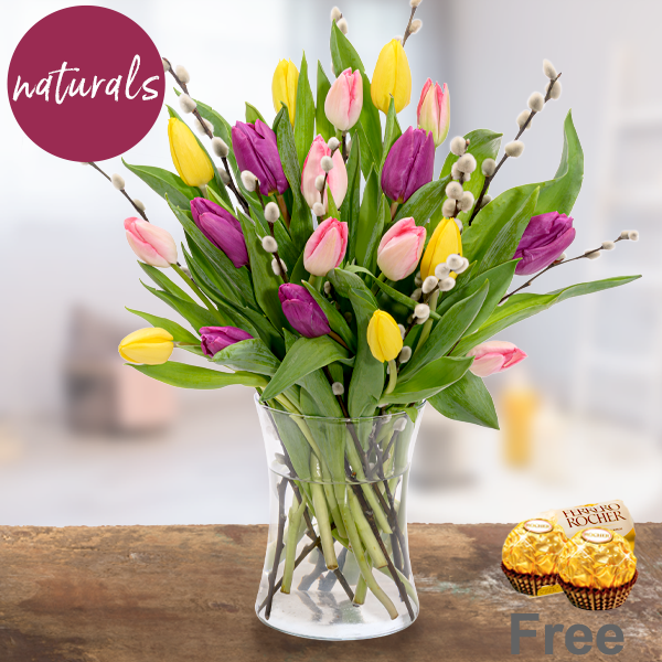 Tulip Dream with 2 Ferrero Rocher