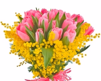 Rosa Tulpen im Bund mit Mimosa